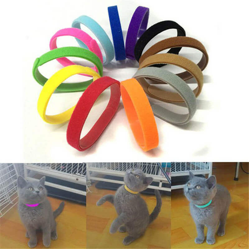 Colorful Pets ID Collar Self-Grip Puppy Kitten Identify Straps Hook Loop Back To Back