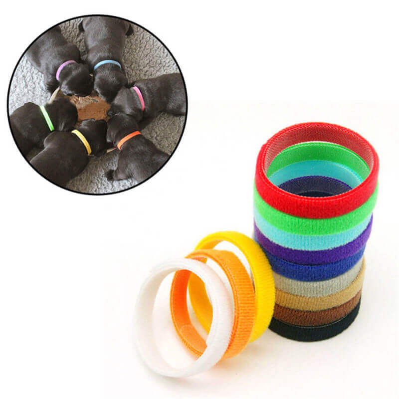 Colorful Pets ID Collar Self-Grip Puppy Kitten Identify Straps Hook Loop Back To Back
