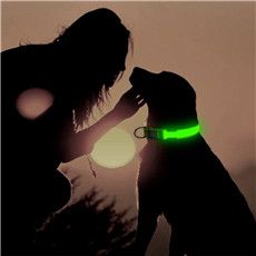 Pets Dogs Cats Straps Id Collars